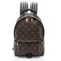 Louis Vuitton Monogram Canvas Palm Springs PM Backpack (SHF-pkKSUu)