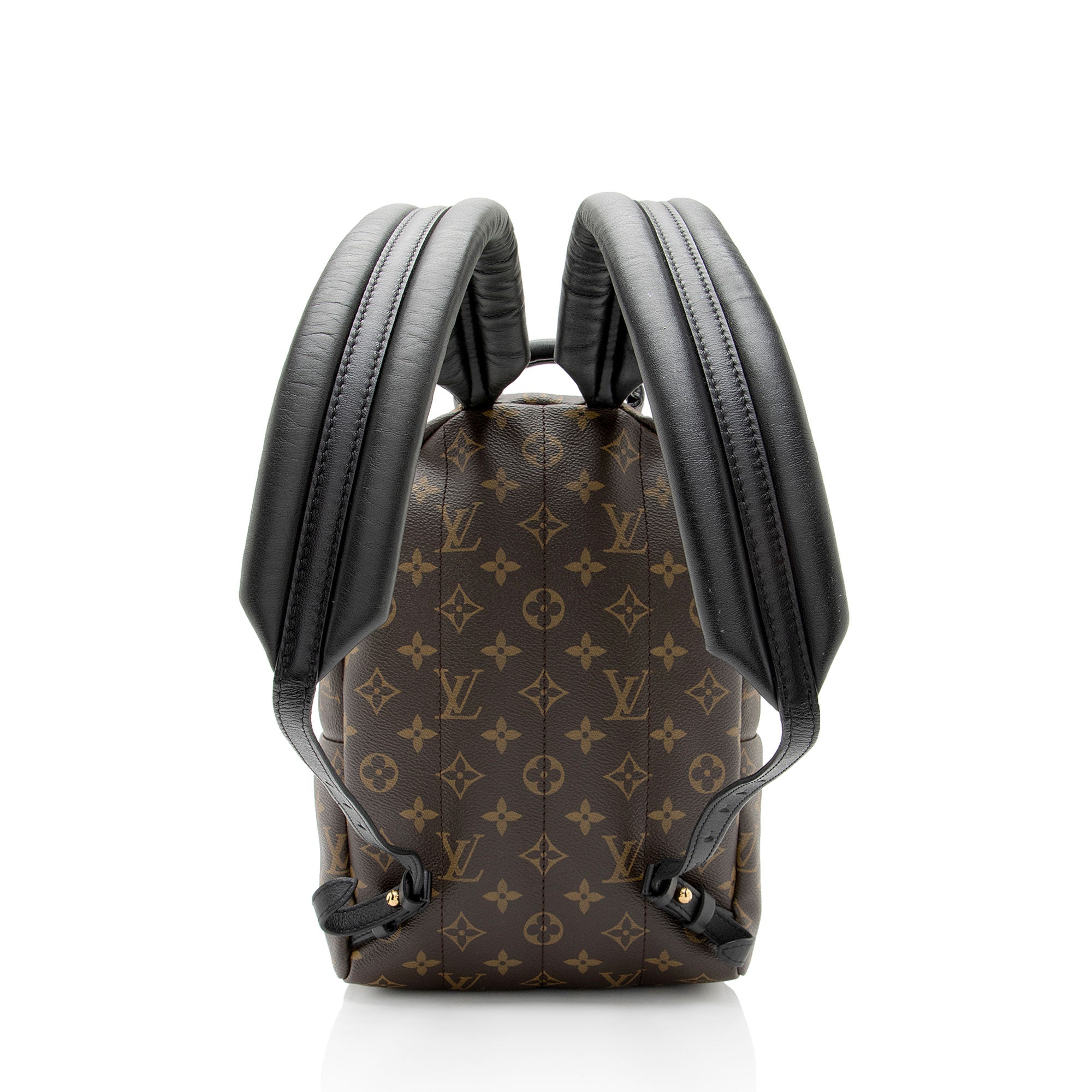 Louis Vuitton Monogram Canvas Palm Springs PM Backpack