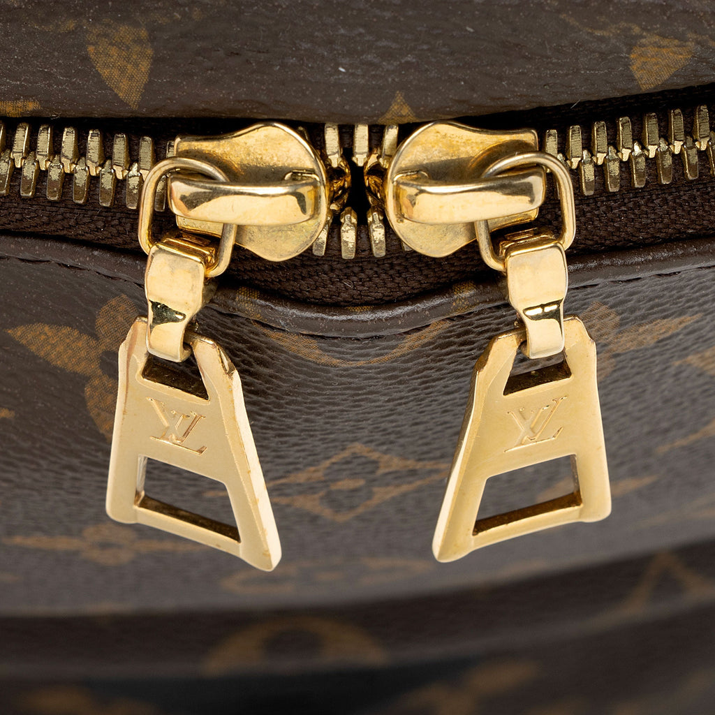 Louis Vuitton Monogram Canvas Palm Springs PM Backpack