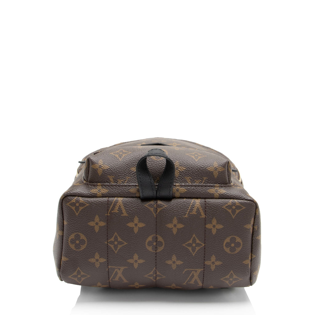 Louis Vuitton Monogram Canvas Palm Springs PM Backpack