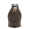 Louis Vuitton Monogram Canvas Palm Springs PM Backpack