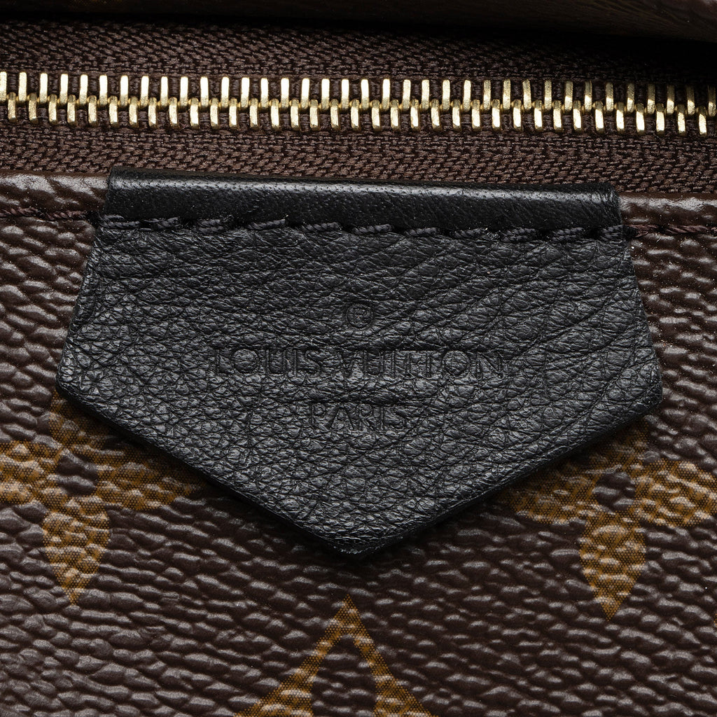 Louis Vuitton Monogram Canvas Palm Springs PM Backpack