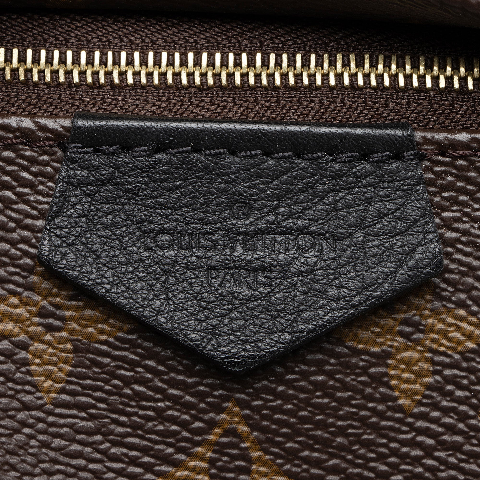 Louis Vuitton Monogram Canvas Palm Springs PM Backpack