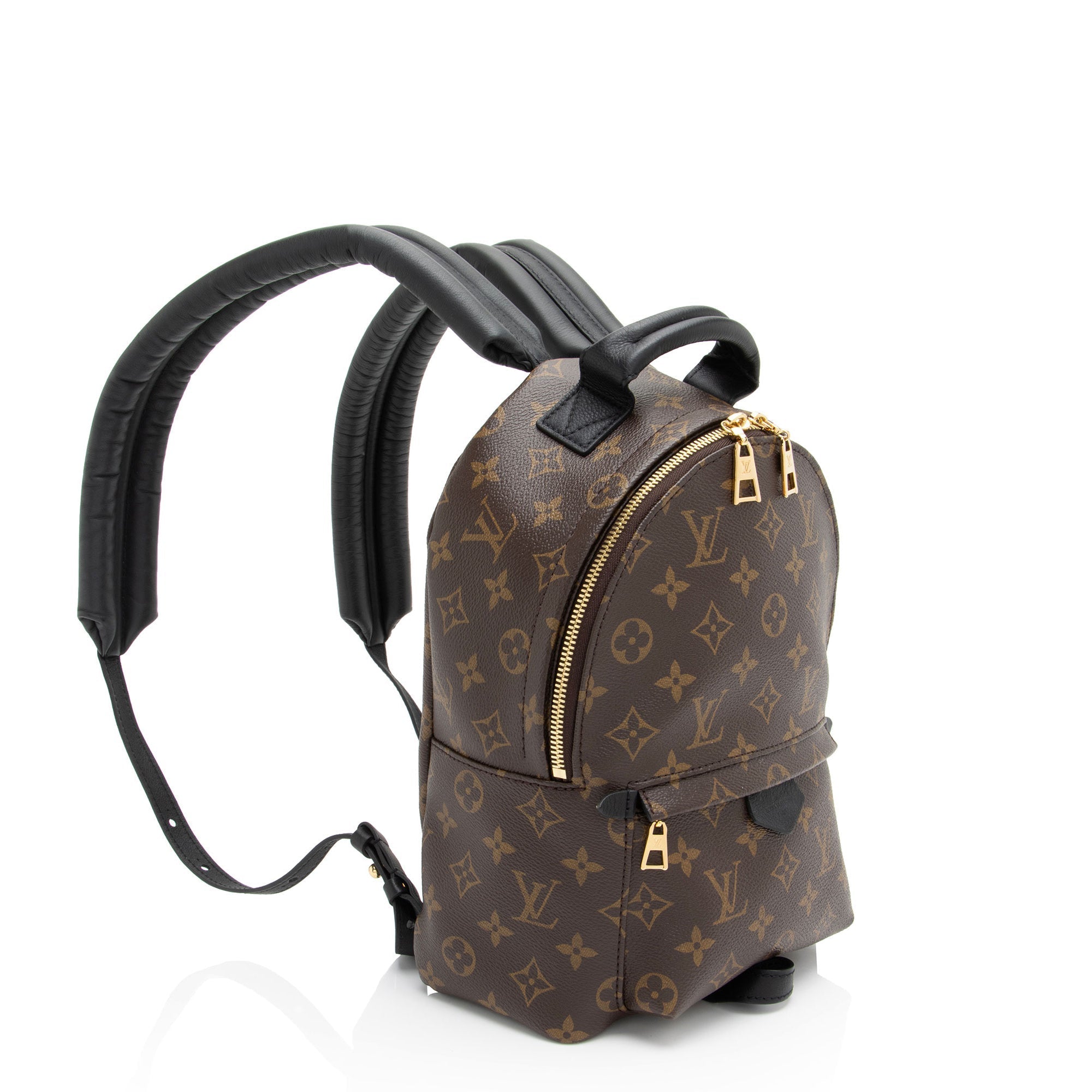Louis Vuitton Monogram Canvas Palm Springs PM Backpack