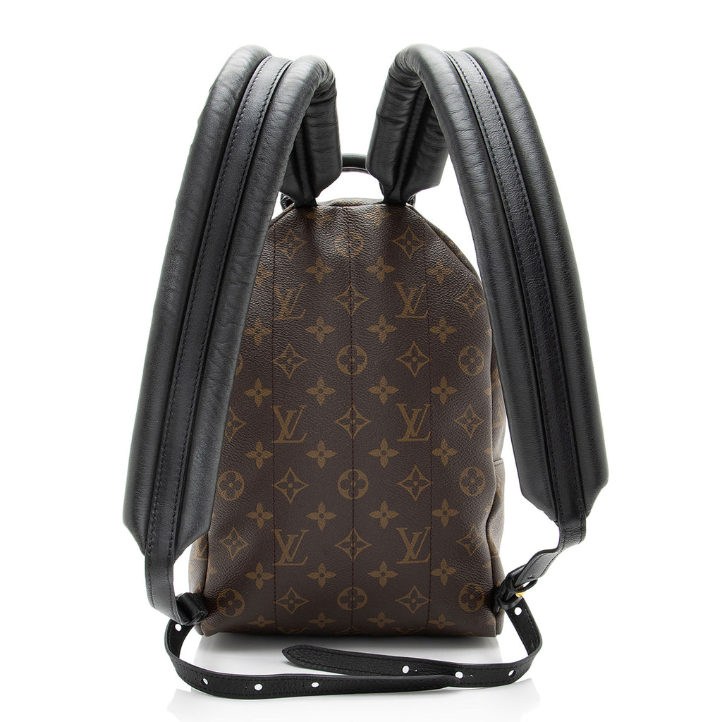 Louis Vuitton Monogram Canvas Palm Springs PM Backpack