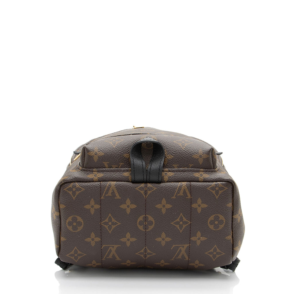 Louis Vuitton Monogram Canvas Palm Springs PM Backpack