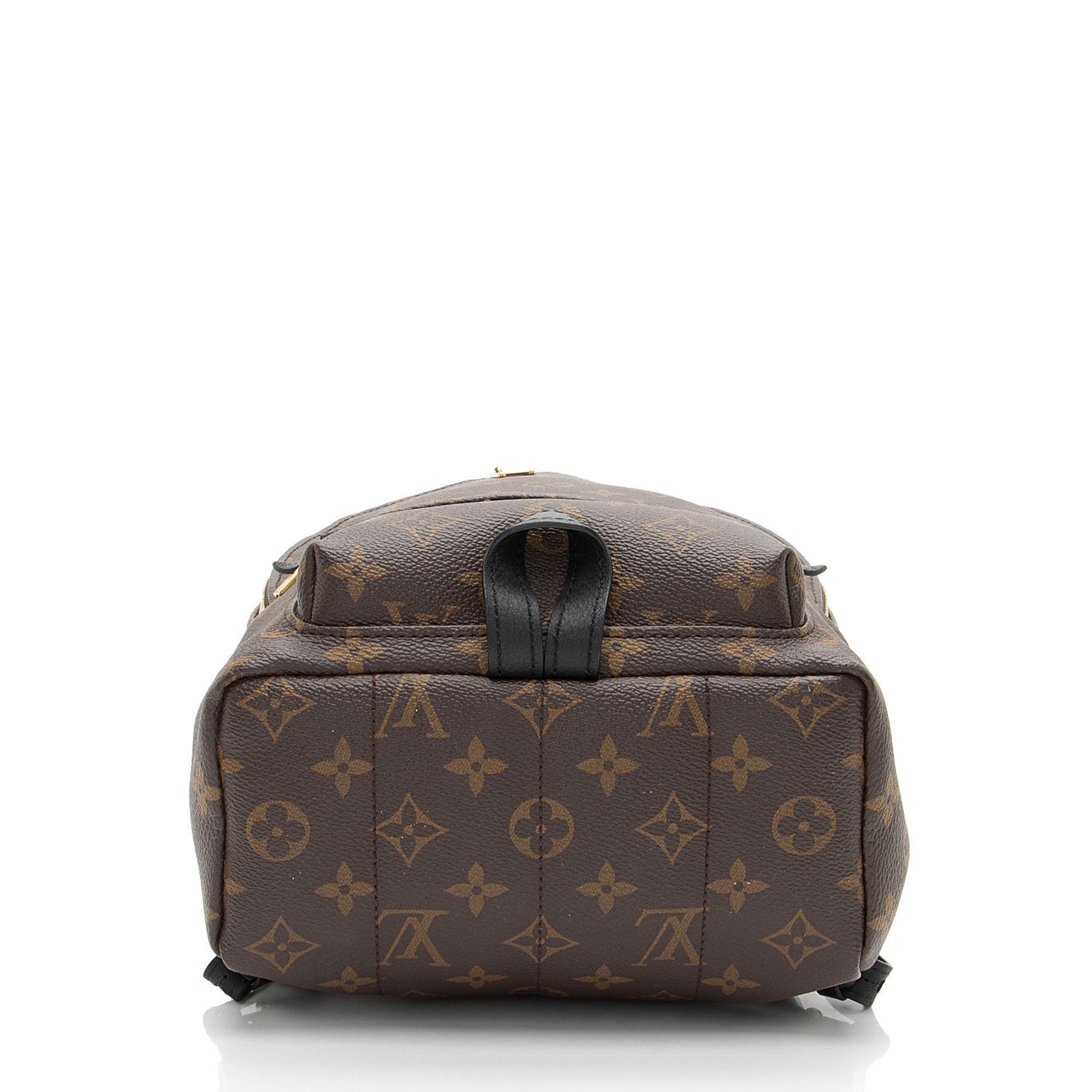 Louis Vuitton Monogram Canvas Palm Springs PM Backpack