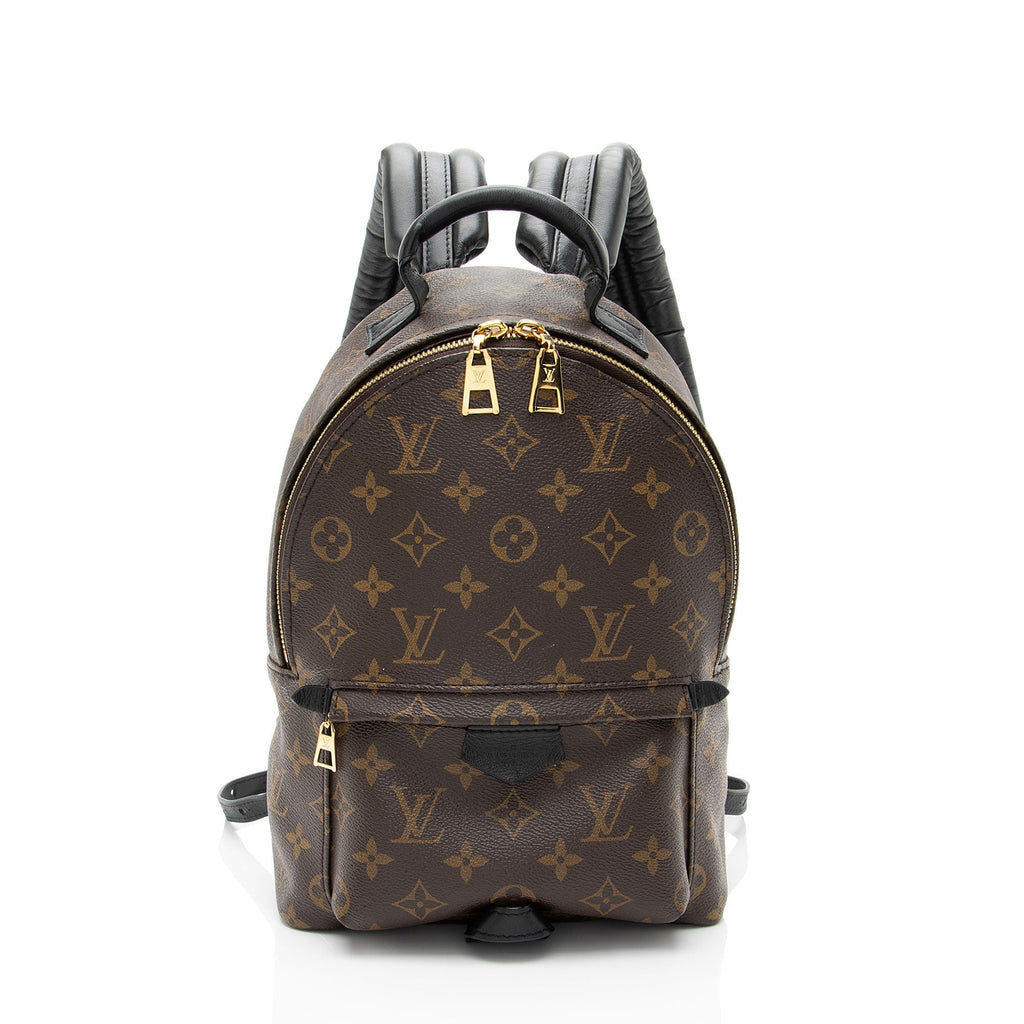 Louis Vuitton Monogram Canvas Palm Springs PM Backpack