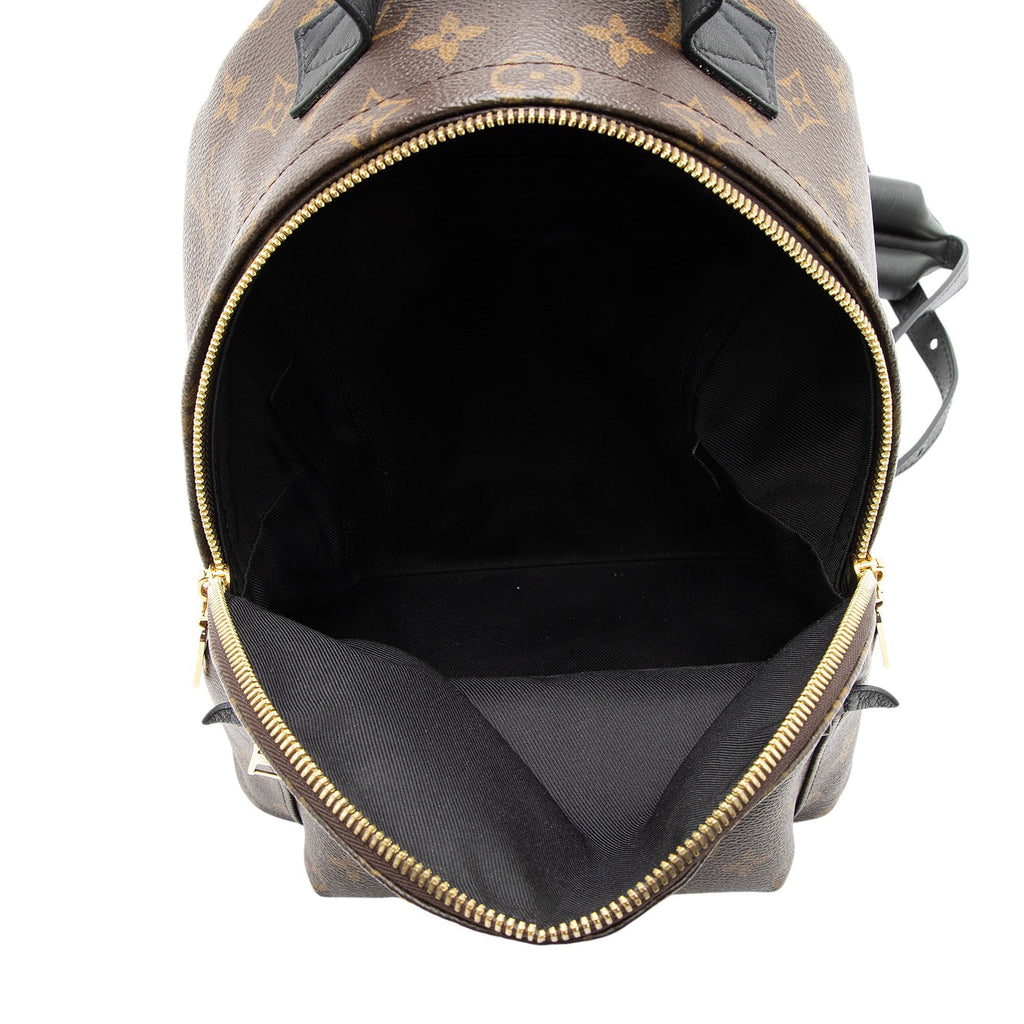 Louis Vuitton Monogram Canvas Palm Springs PM Backpack