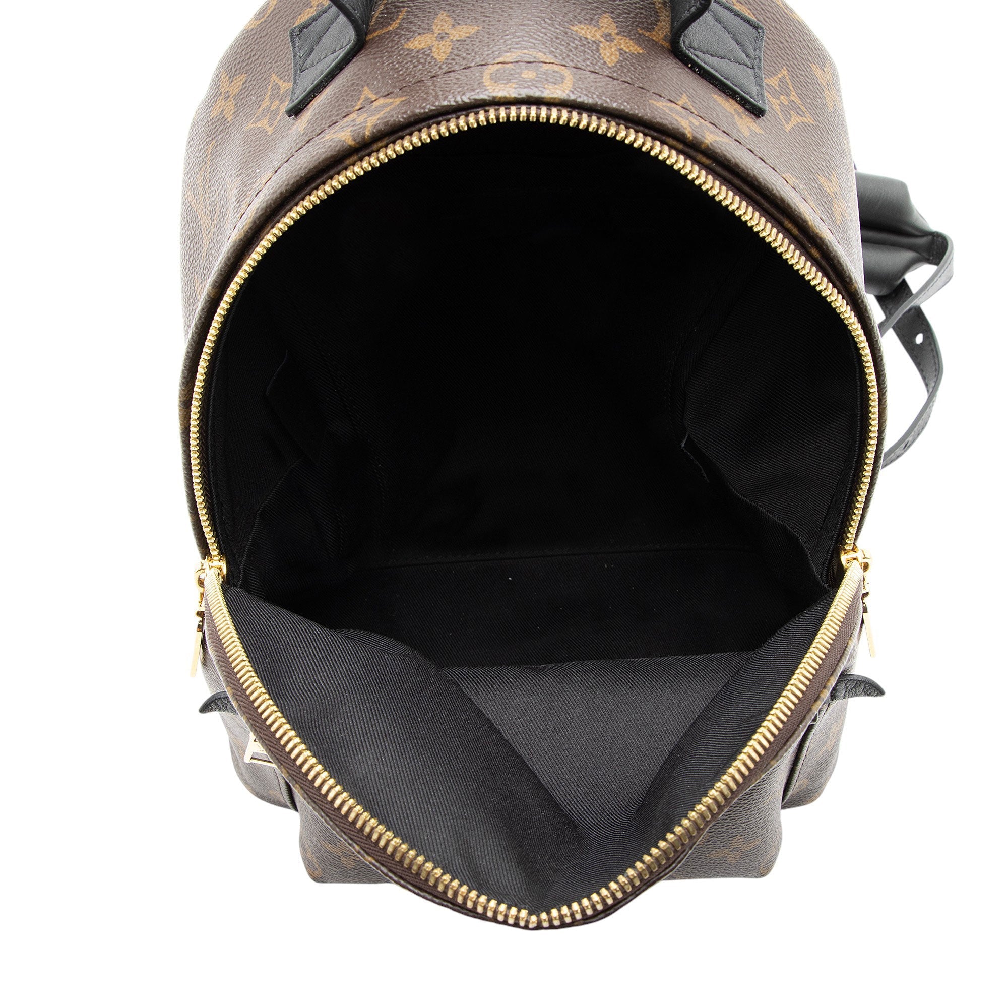 Louis Vuitton Monogram Canvas Palm Springs PM Backpack