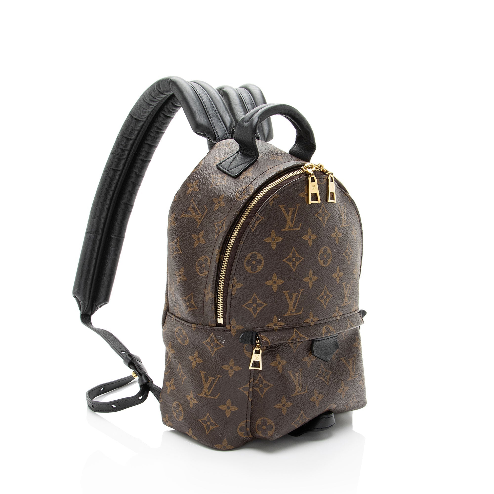 Louis Vuitton Monogram Canvas Palm Springs PM Backpack