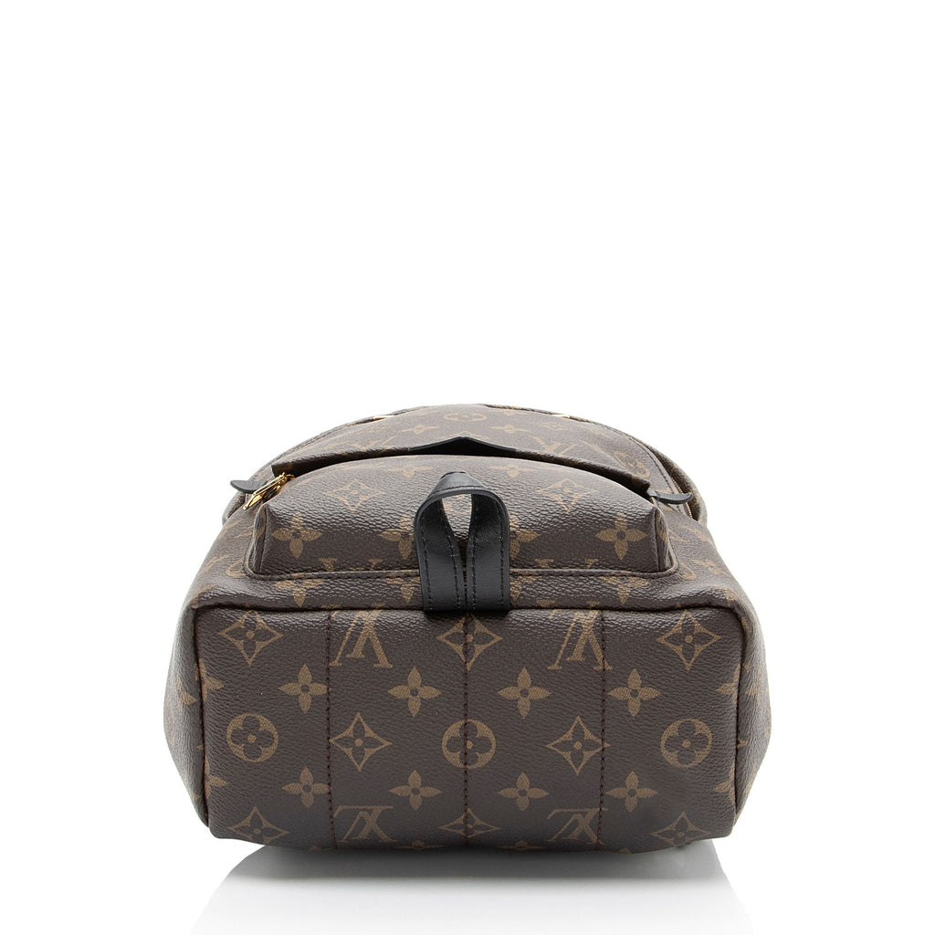 Louis Vuitton Monogram Canvas Palm Springs PM Backpack