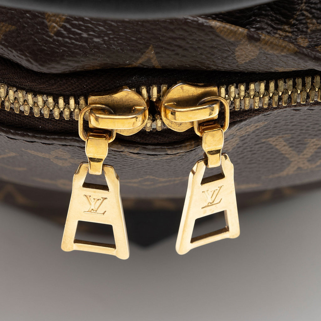 Louis Vuitton Monogram Canvas Palm Springs PM Backpack