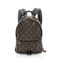 Louis Vuitton Monogram Canvas Palm Springs PM Backpack