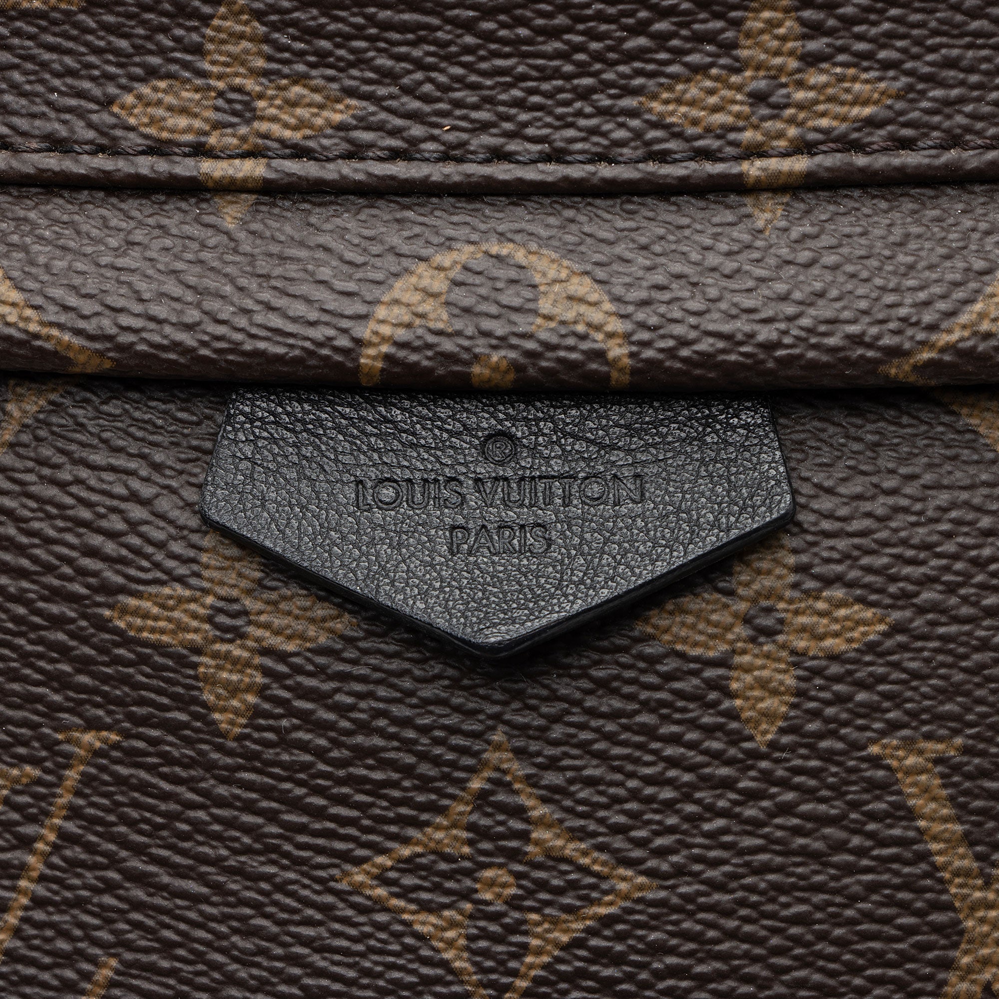 Louis Vuitton Monogram Canvas Palm Springs PM Backpack