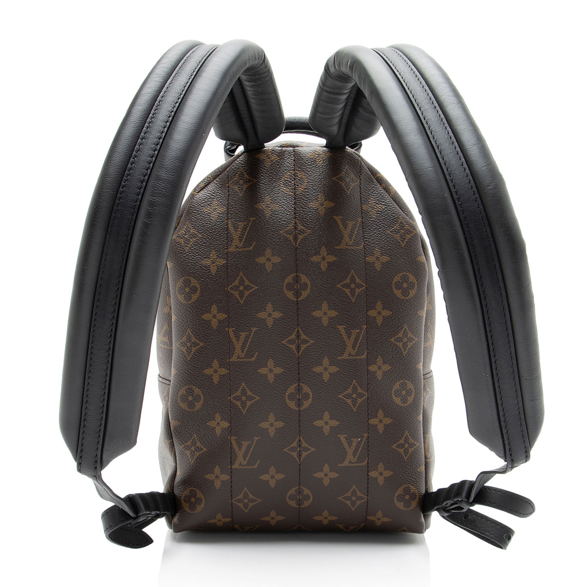 Louis Vuitton Monogram Canvas Palm Springs PM Backpack