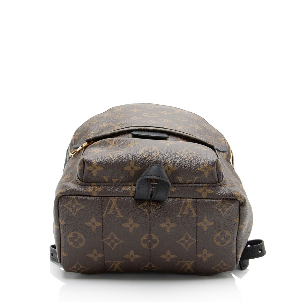 Louis Vuitton Monogram Canvas Palm Springs PM Backpack