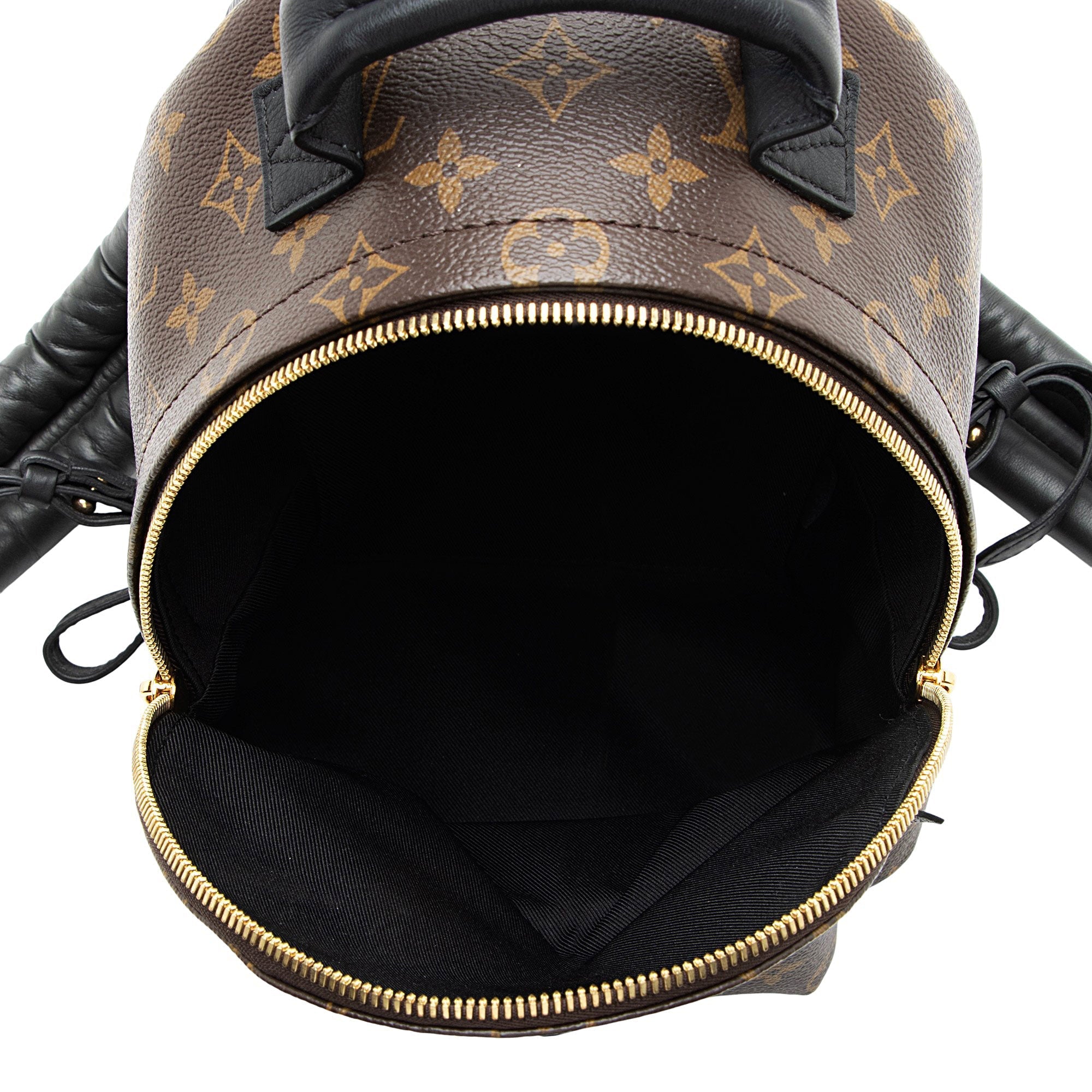 Louis Vuitton Monogram Canvas Palm Springs PM Backpack