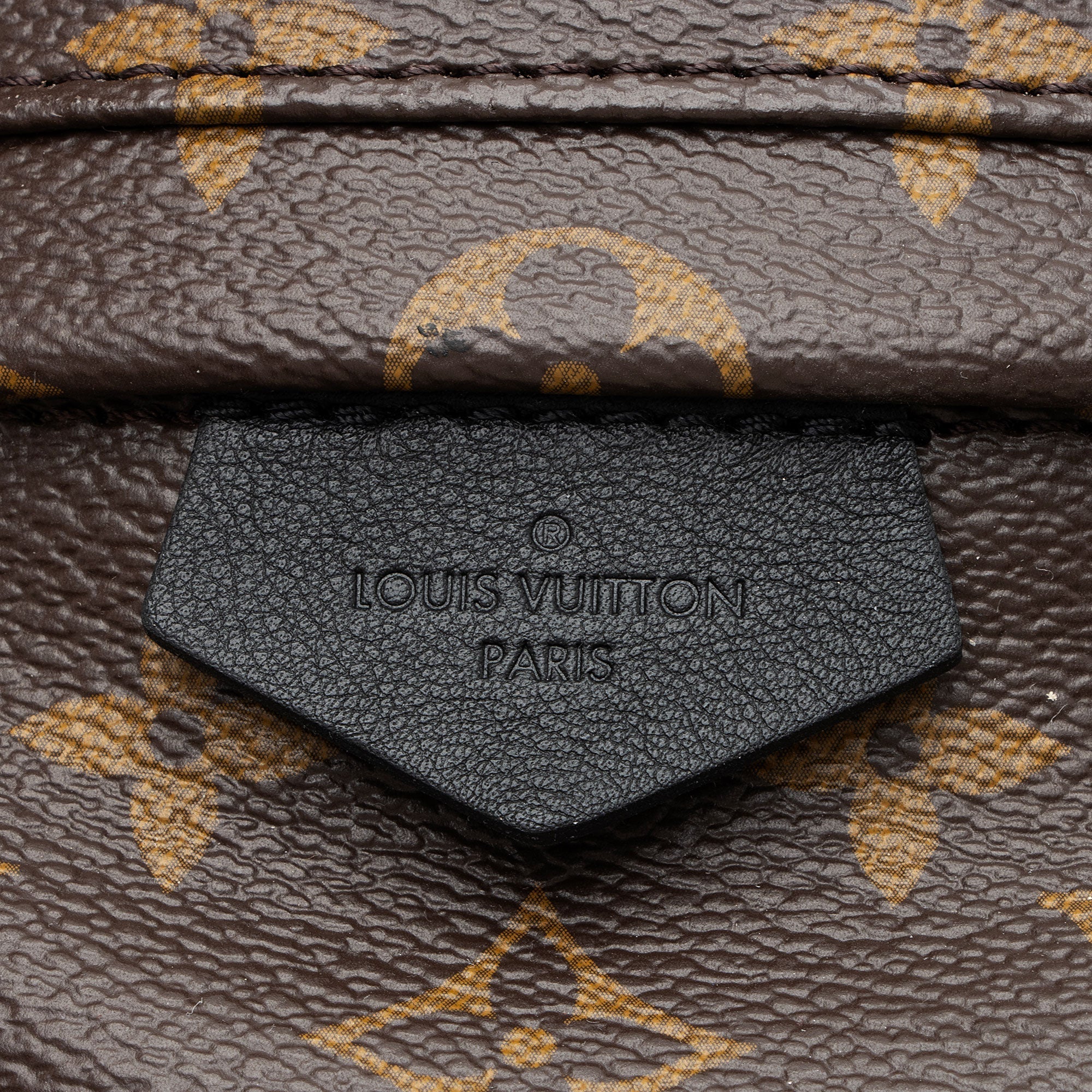 Louis Vuitton Monogram Canvas Palm Springs PM Backpack