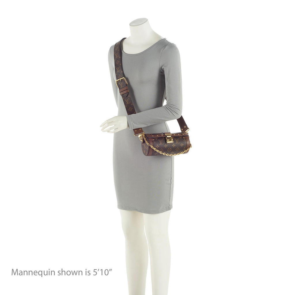 Louis Vuitton Monogram Canvas Papillon Trunk Bag