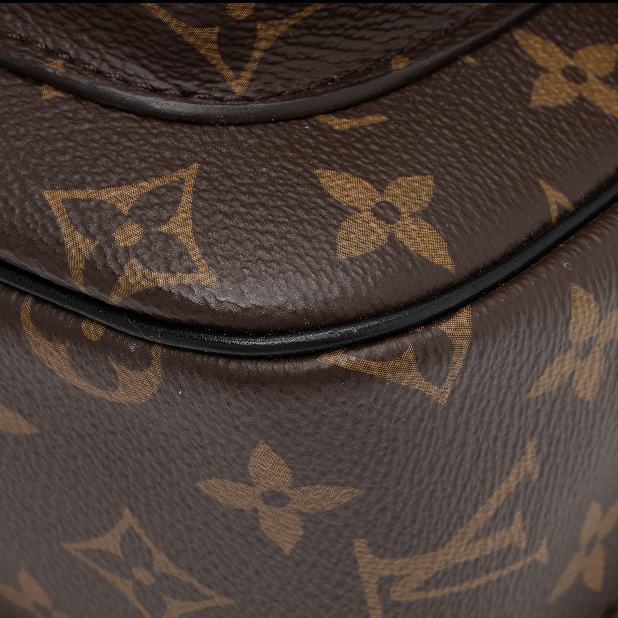 Louis Vuitton Monogram Canvas Passy Shoulder Bag (SHF-Cm87ct)