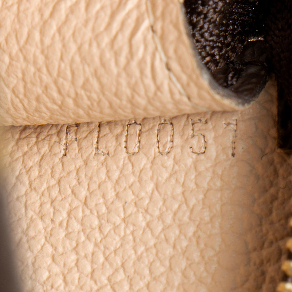 Louis Vuitton Monogram Canvas Petit Bucket Pouch