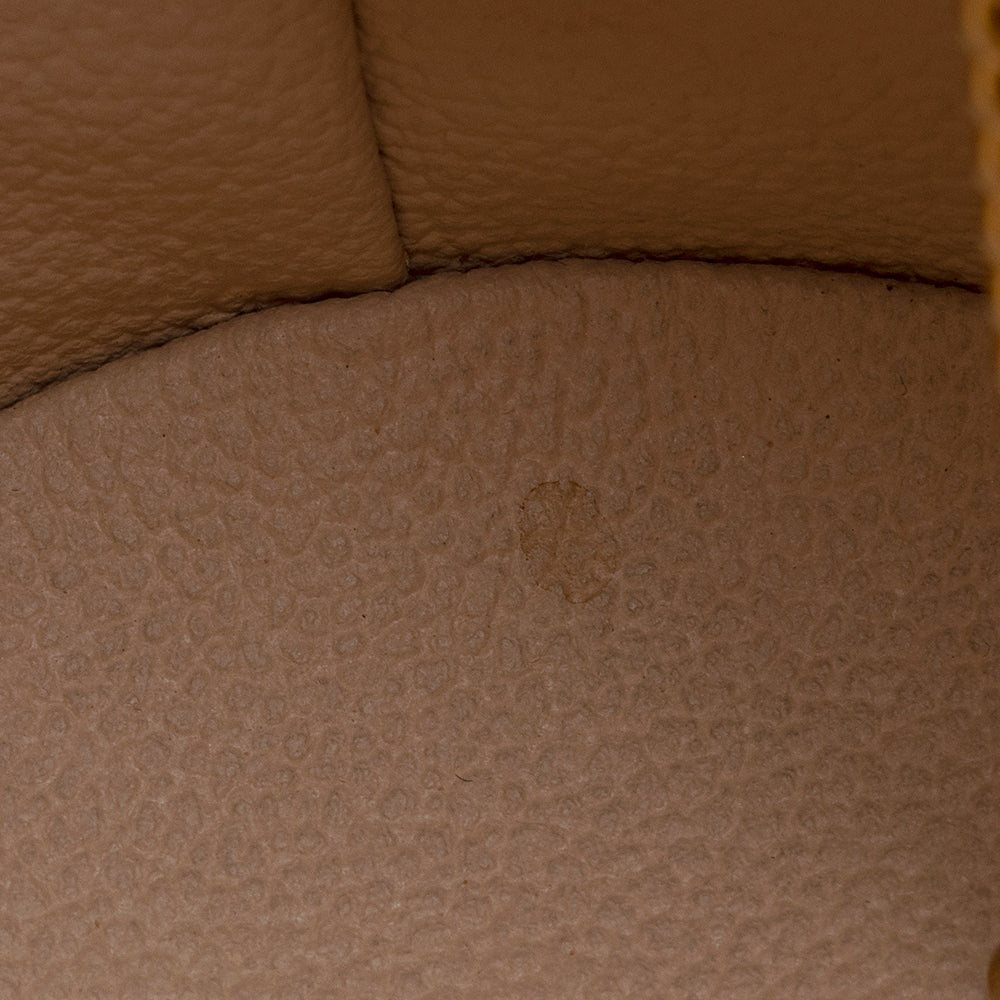 Louis Vuitton Monogram Canvas Petit Bucket Tote (SHF-21305)