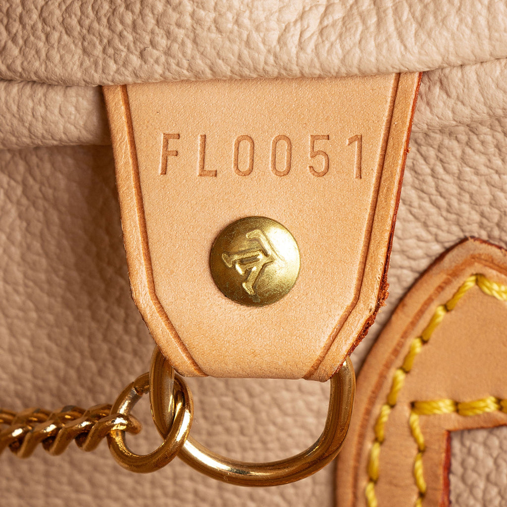 Louis Vuitton Monogram Canvas Petit Bucket Tote
