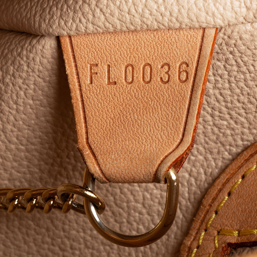 Louis Vuitton Monogram Canvas Petit Bucket Tote
