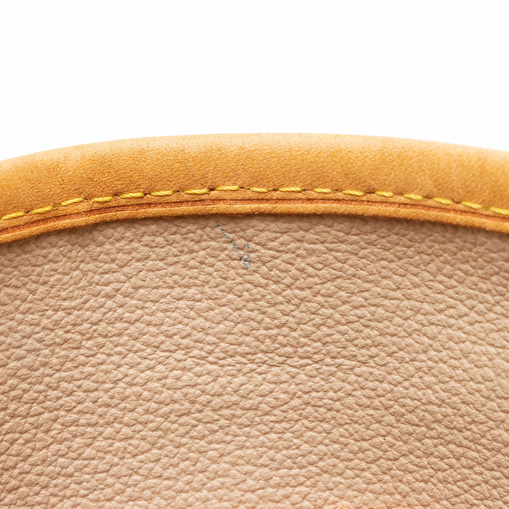 Louis Vuitton Monogram Canvas Petit Bucket Tote