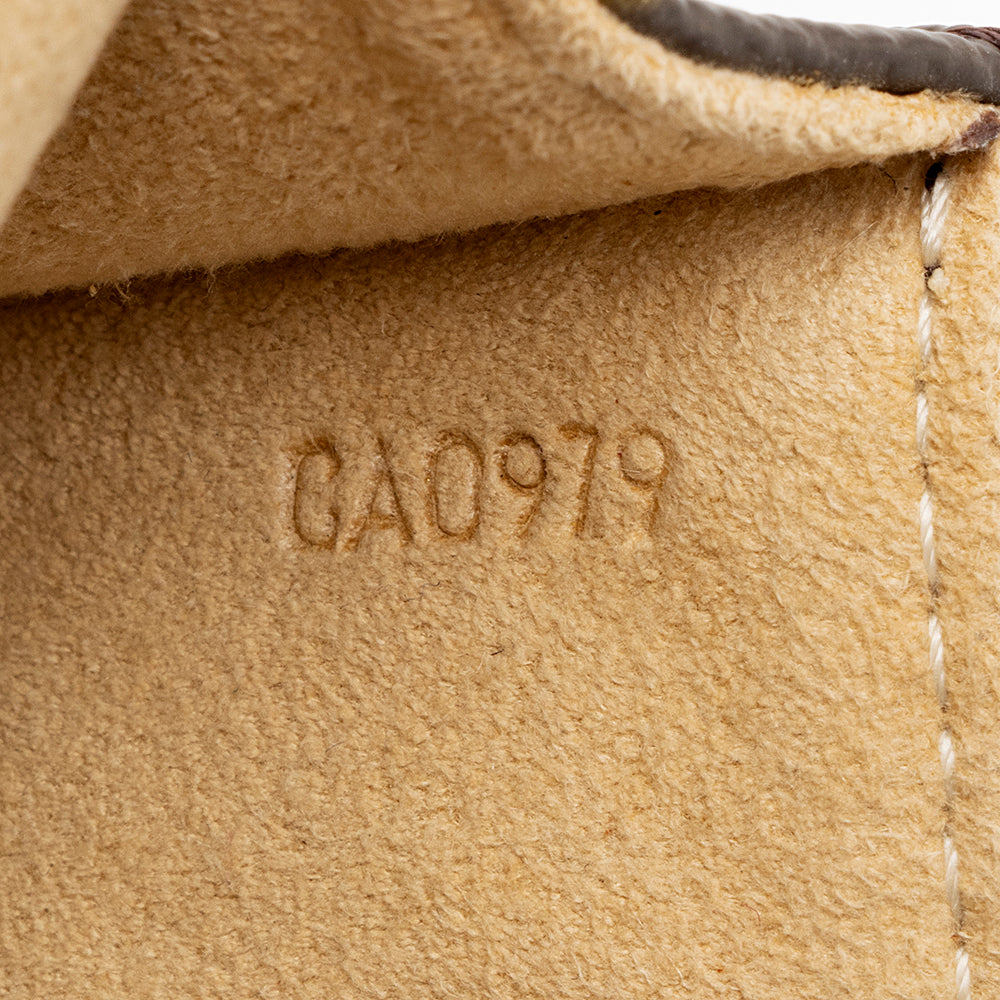 Louis Vuitton  Monogram Canvas Pochette Twin PM Shoulder Bag (SHF-17997)