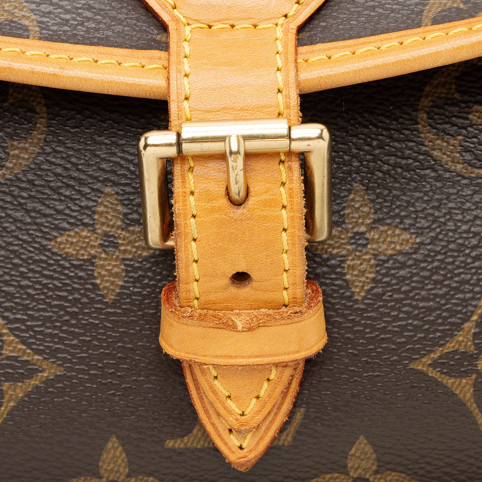 Louis Vuitton Monogram Canvas Sologne Shoulder Bag