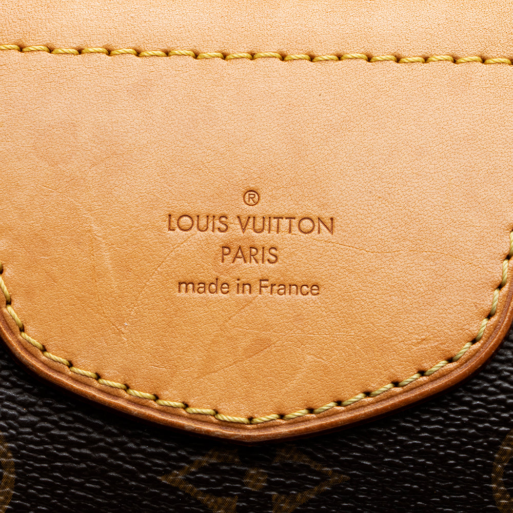 Louis Vuitton Monogram Canvas Stresa PM Shoulder Bag (SHF-20014)