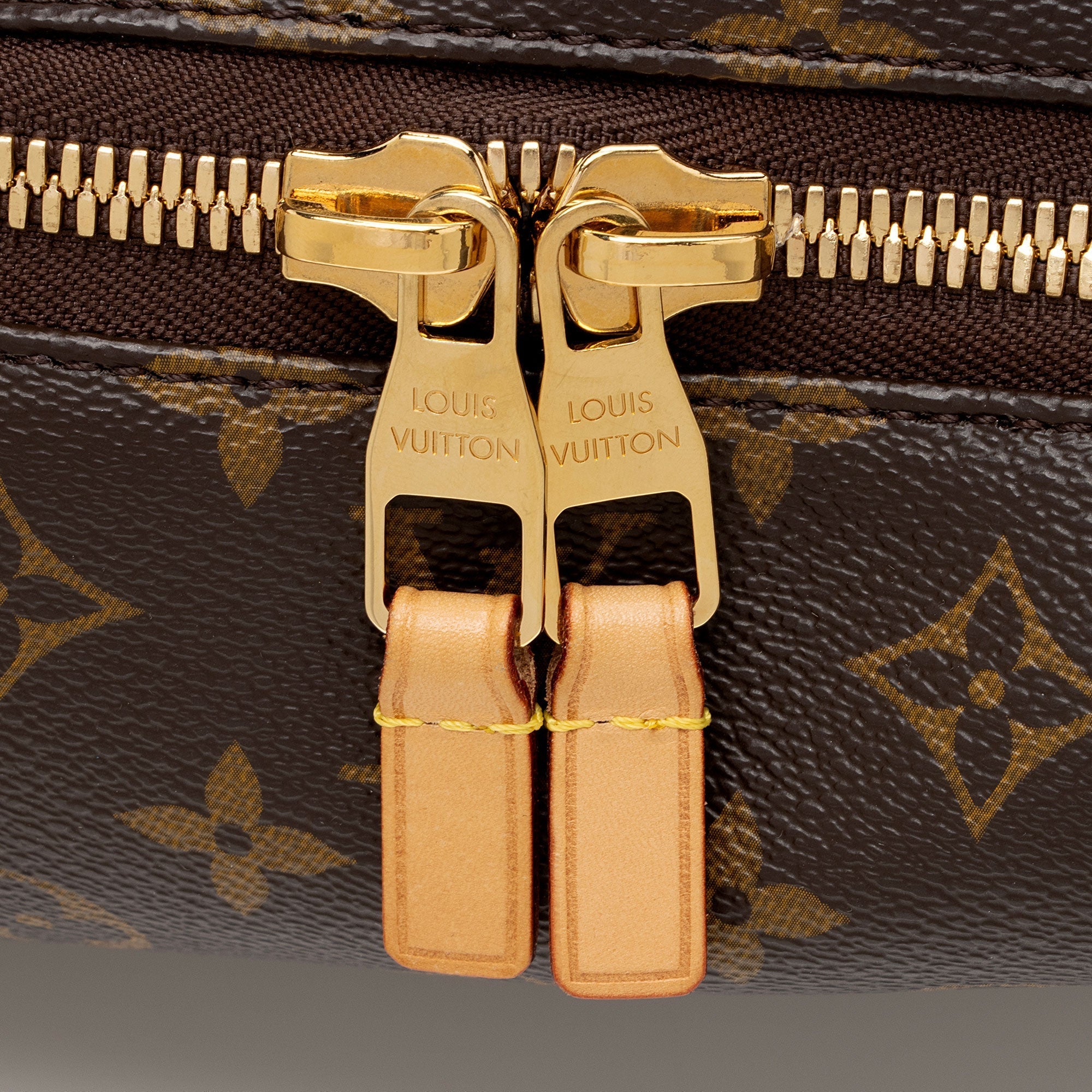 Louis Vuitton Monogram Canvas Sully PM Shoulder Bag (SHF-SVXZ9s)