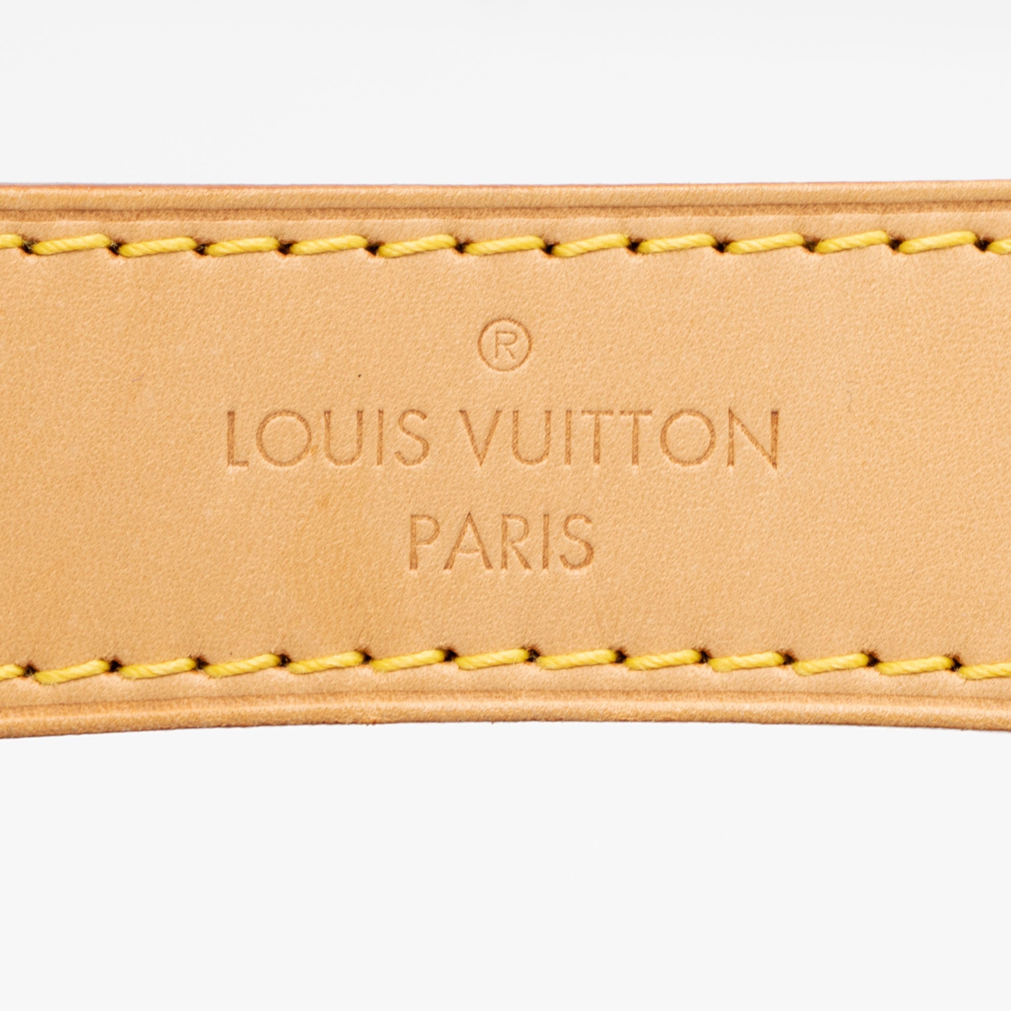 Louis Vuitton Monogram Canvas Sully PM Shoulder Bag (SHF-SVXZ9s)