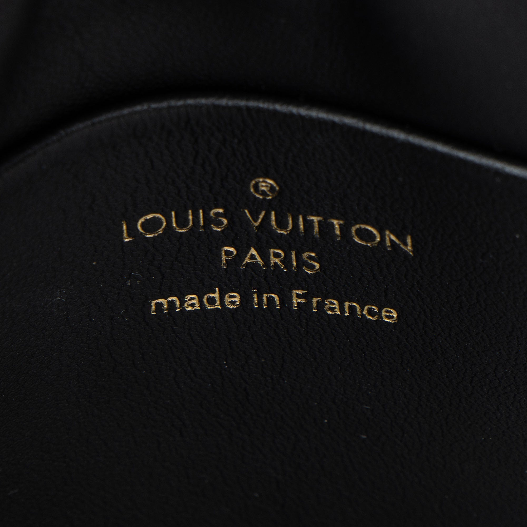 Louis Vuitton Monogram Canvas Thelma Pochette