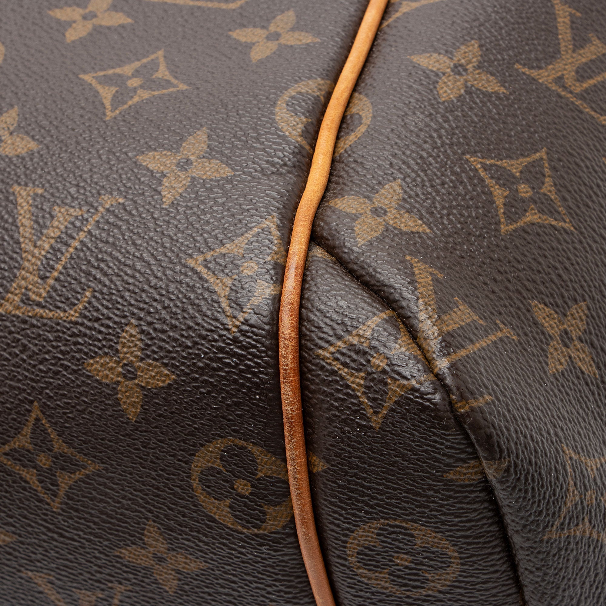 Louis Vuitton Monogram Canvas Totally MM Tote