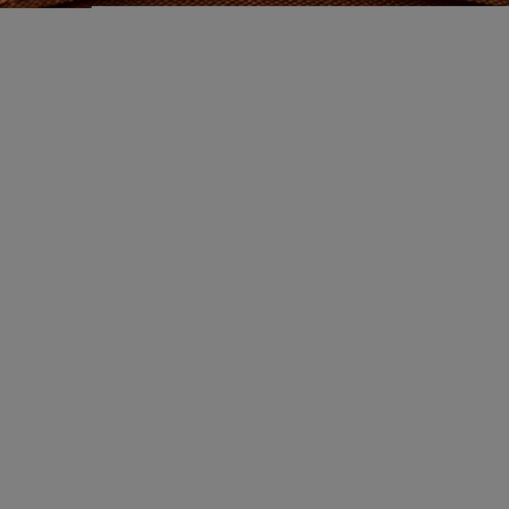 Louis Vuitton Monogram Canvas Totally PM Tote