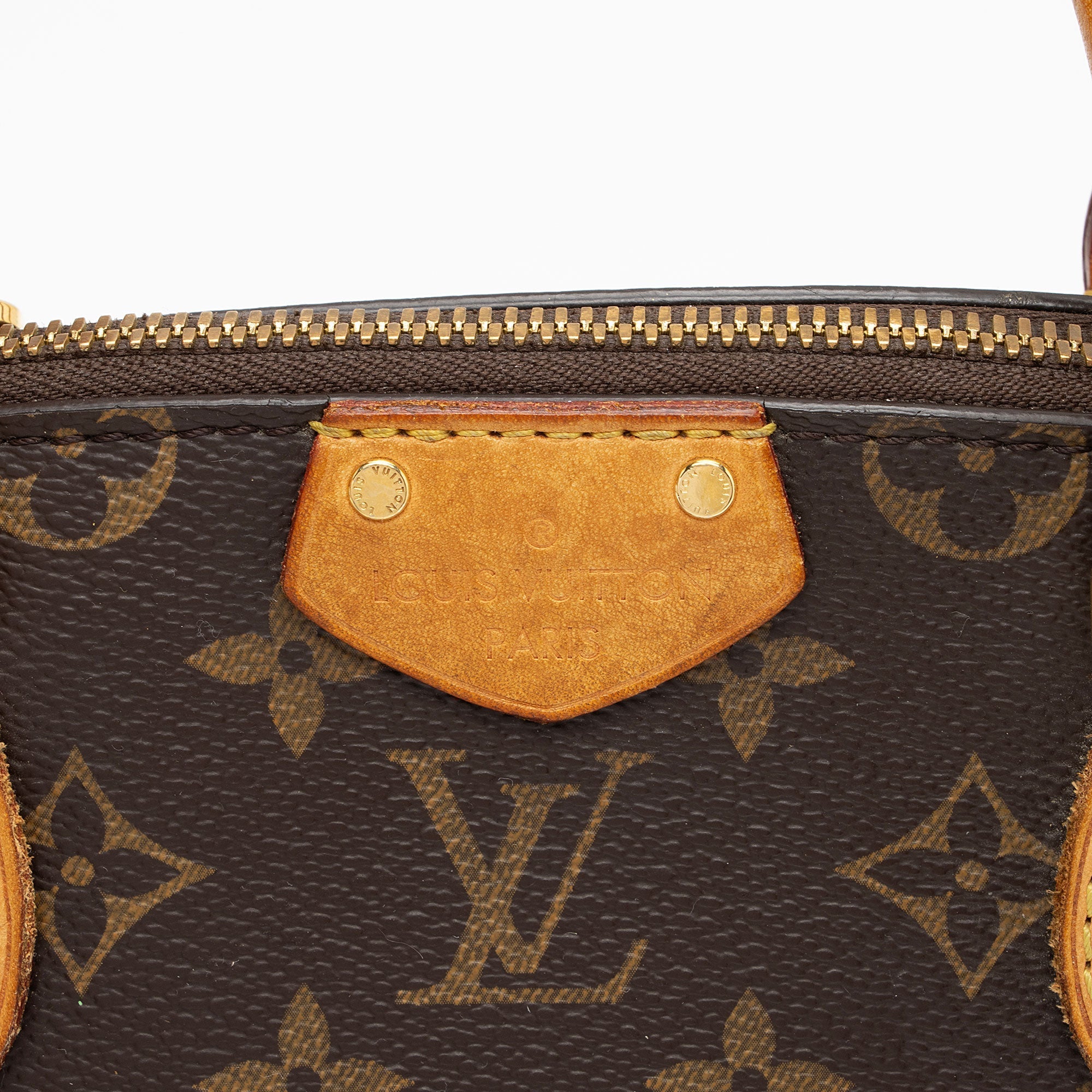 Louis Vuitton Monogram Canvas Turenne PM Satchel (SHF-sfOynf)