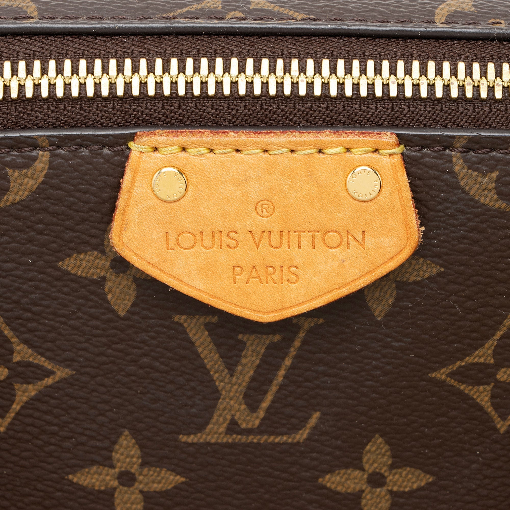 Louis Vuitton Monogram Canvas Turenne PM Satchel