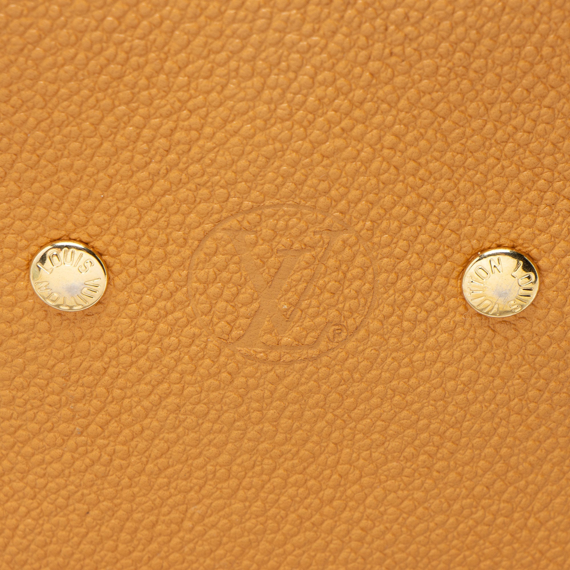 Louis Vuitton Monogram Canvas Venus Satchel