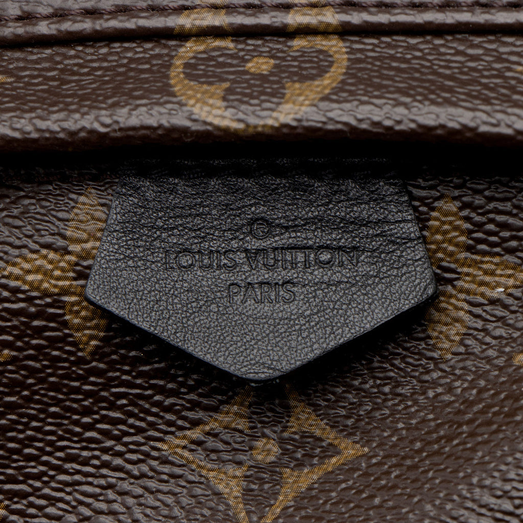 Louis Vuitton Monogram Canvas World Tour Palm Springs Mini Backpack