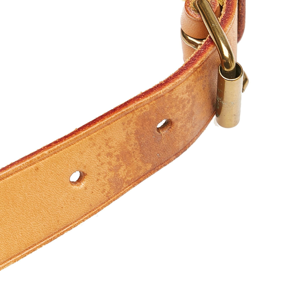 Louis Vuitton Monogram Cartouchiere MM (SHG-34703)