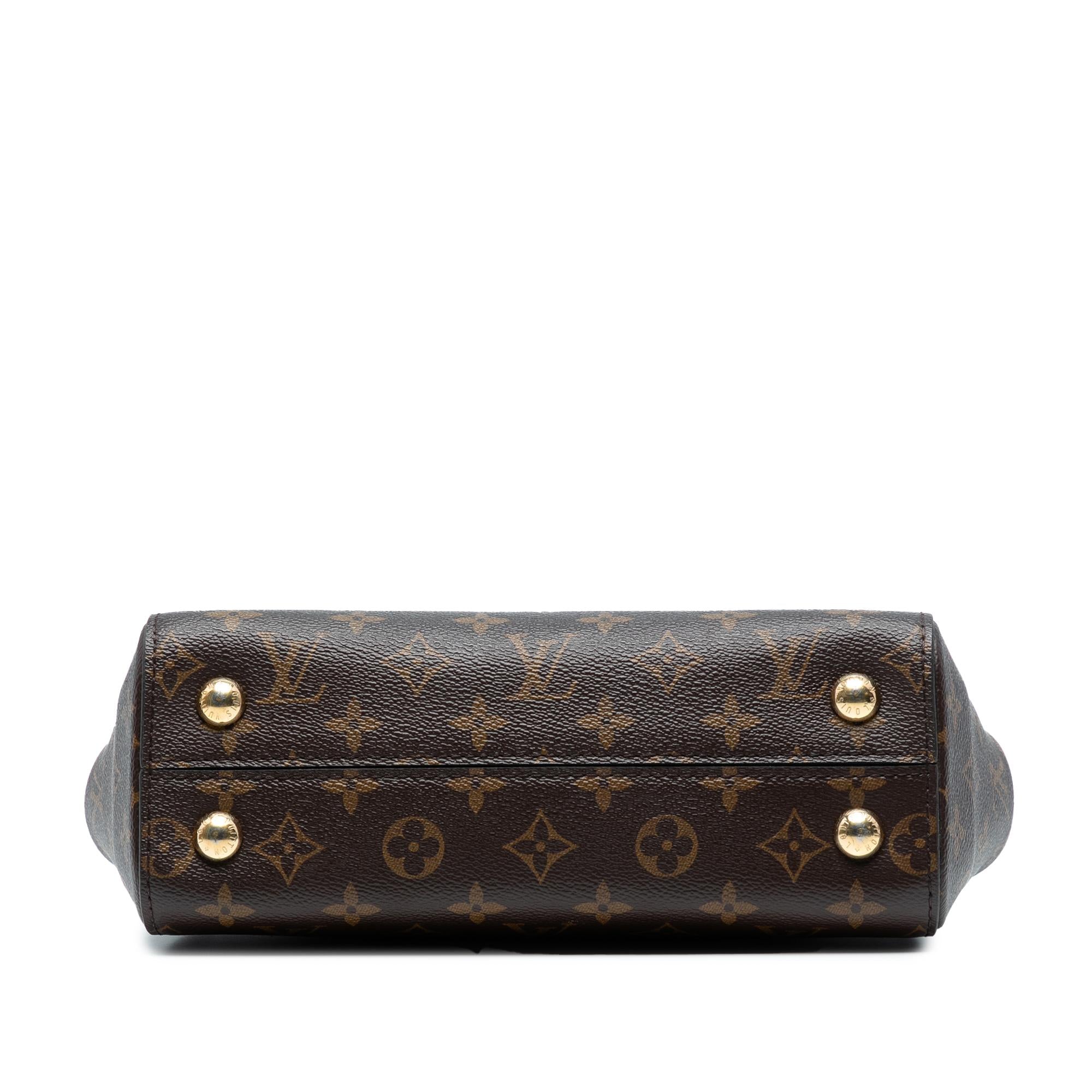Louis Vuitton Monogram Cluny BB
