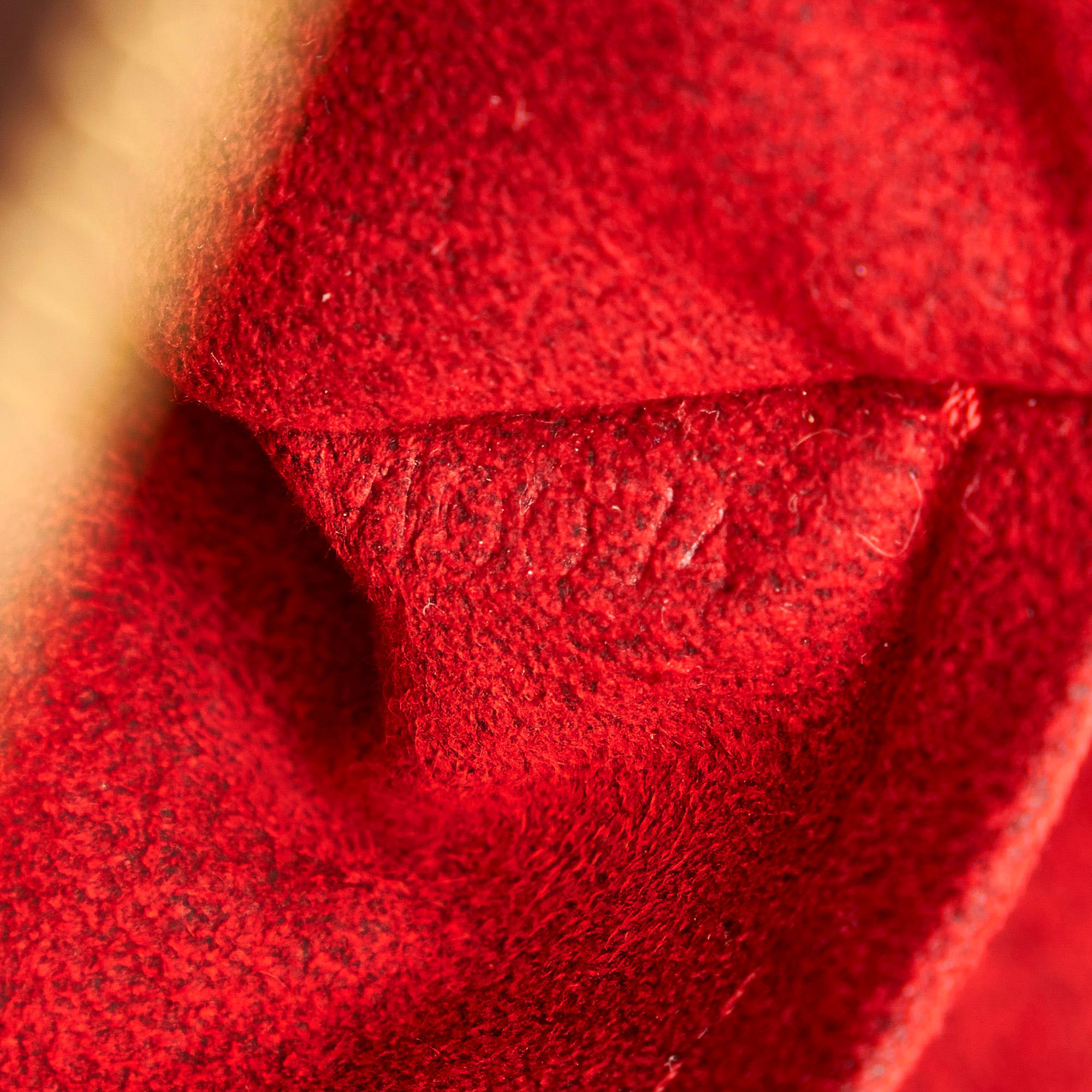 Louis Vuitton Monogram Coussin GM (SHG-X5wrOm)