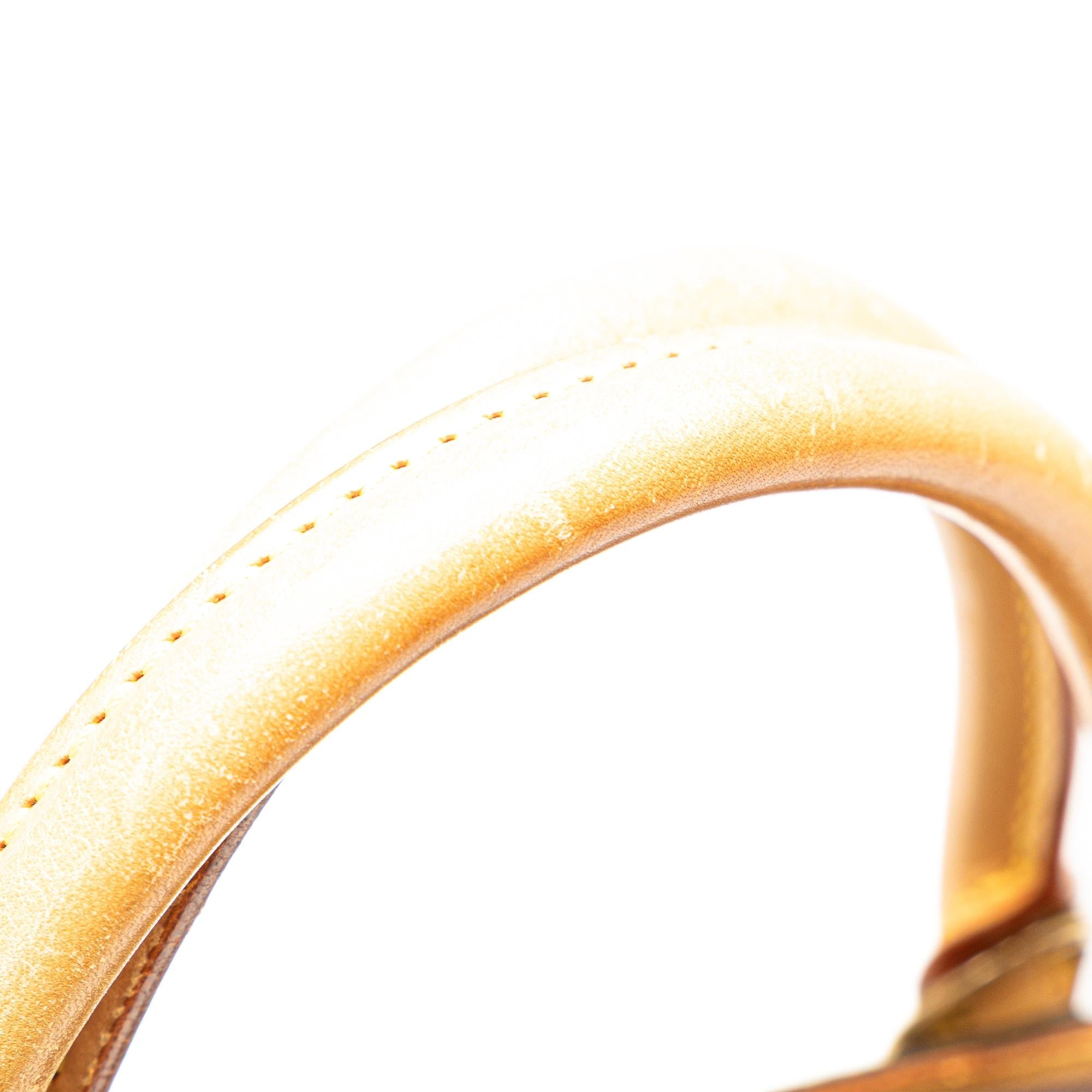 Louis Vuitton Monogram Ellipse PM