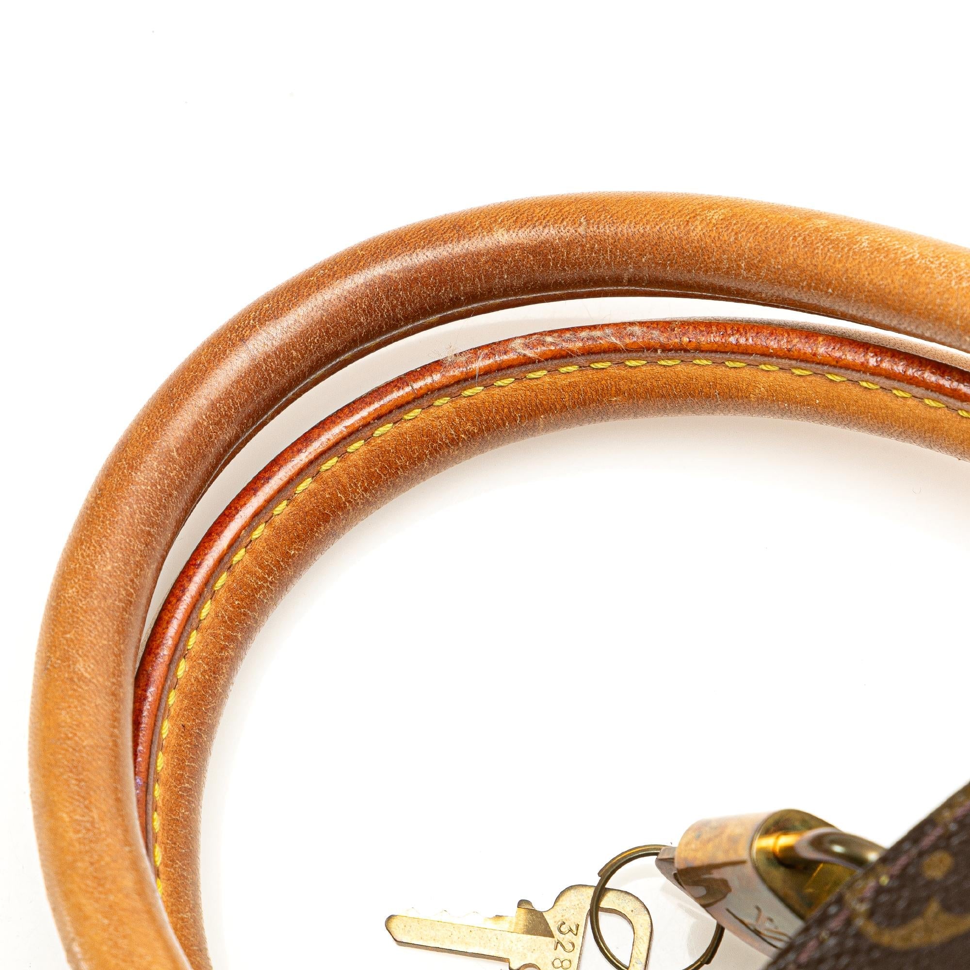 Louis Vuitton Monogram Ellipse PM