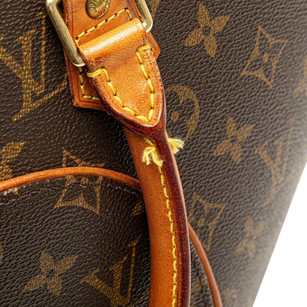Louis Vuitton Monogram Ellipse PM