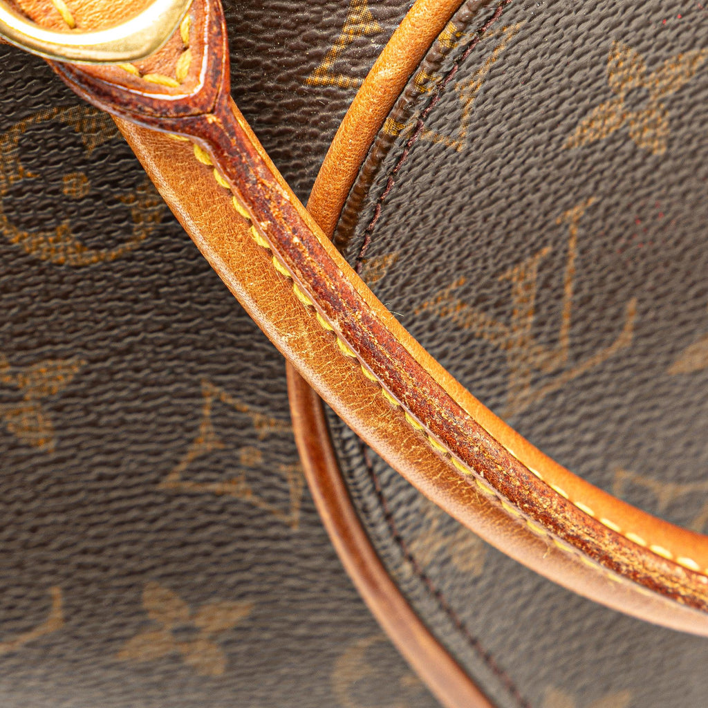 Louis Vuitton Monogram Ellipse PM
