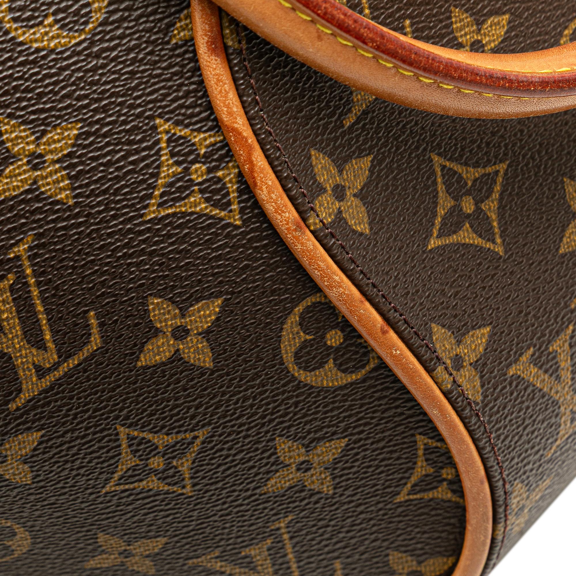 Louis Vuitton Monogram Ellipse PM